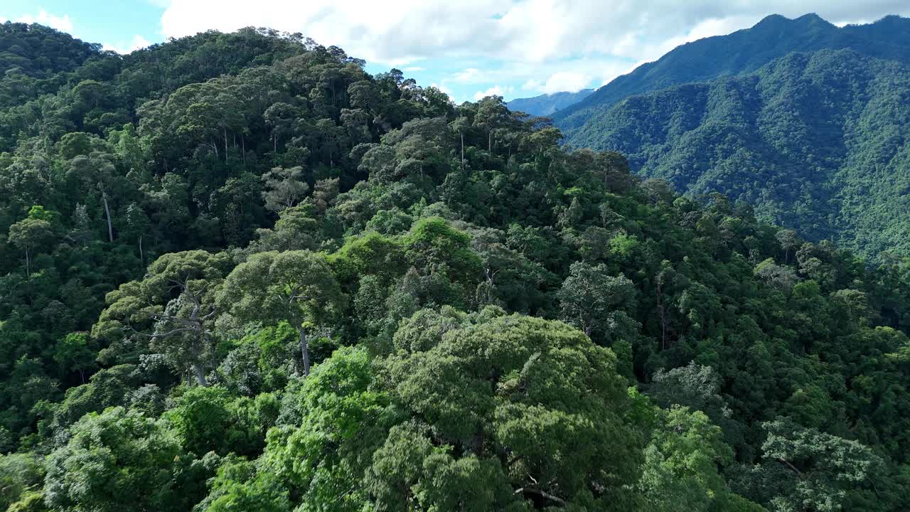 鸟瞰泰国北部雨季期间郁郁葱葱的绿色雨云覆盖的热带雨林山中的森林。视频下载