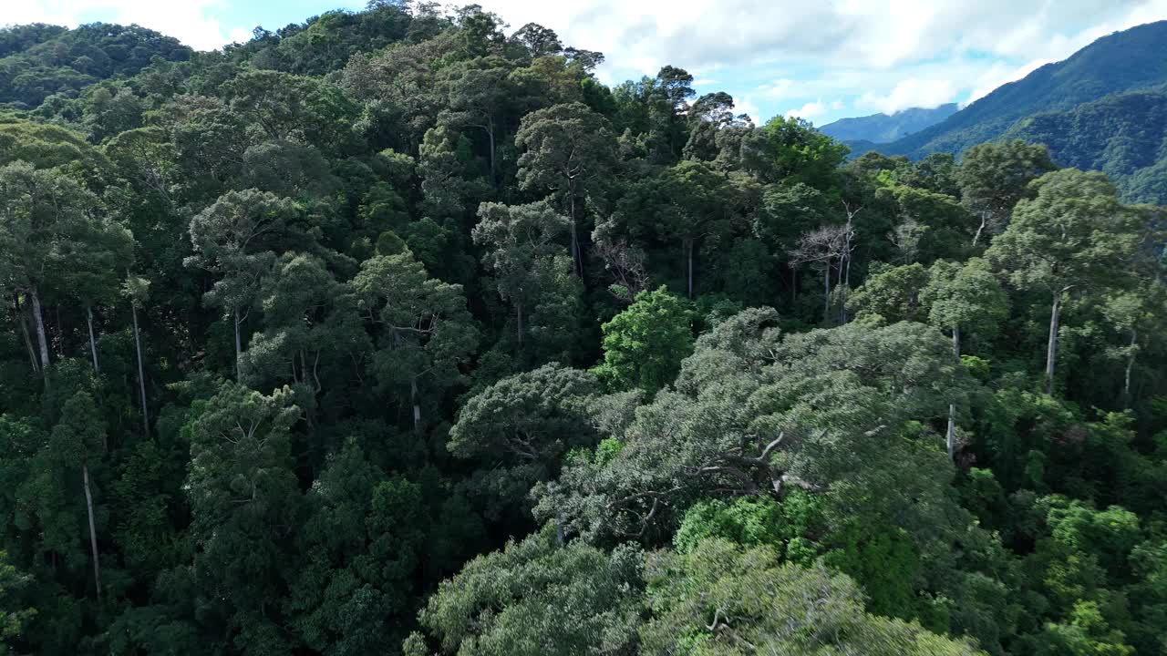 鸟瞰泰国北部雨季期间郁郁葱葱的绿色雨云覆盖的热带雨林山中的森林。视频素材