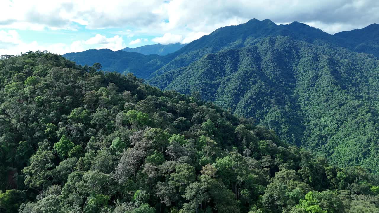 鸟瞰泰国北部雨季期间郁郁葱葱的绿色雨云覆盖的热带雨林山中的森林。视频素材