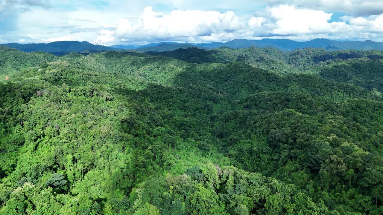 鸟瞰泰国北部雨季期间郁郁葱葱的绿色雨云覆盖的热带雨林山中的森林。视频下载