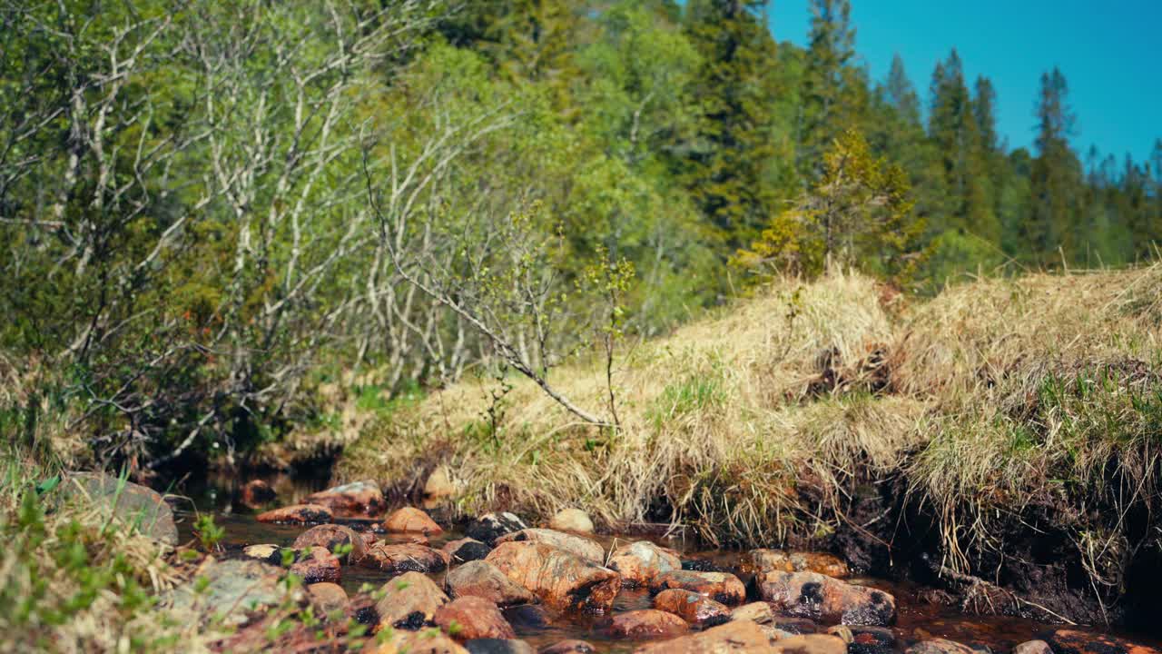 一个小的，岩石流轻轻地流过Seterdjupna，附近Malitjønna在Indre Fosen, Trøndelag，挪威-静态拍摄视频素材