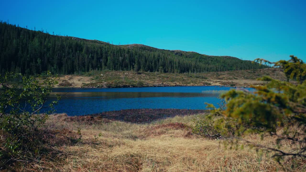 宁静的蓝色湖泊Seterdjupna，周围是针叶林附近的Malitjønna在Indre Fosen, Trøndelag，挪威-静态拍摄视频素材