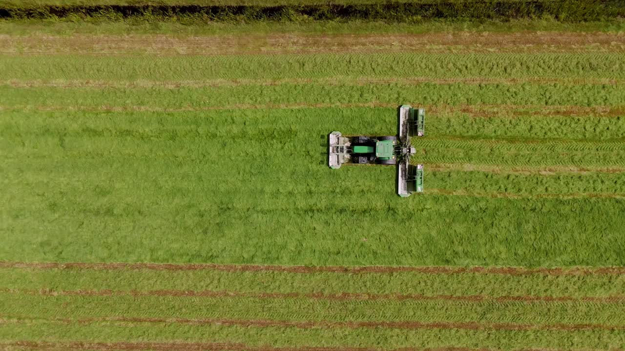 空中拍摄的拖拉机割草和收获草在弗里斯兰草地，自上而下视频素材