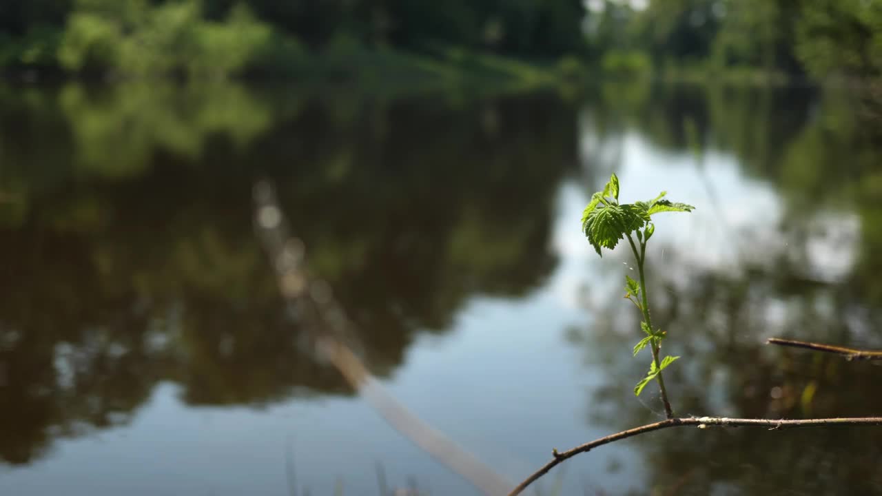 五彩缤纷的夏日风景视频下载