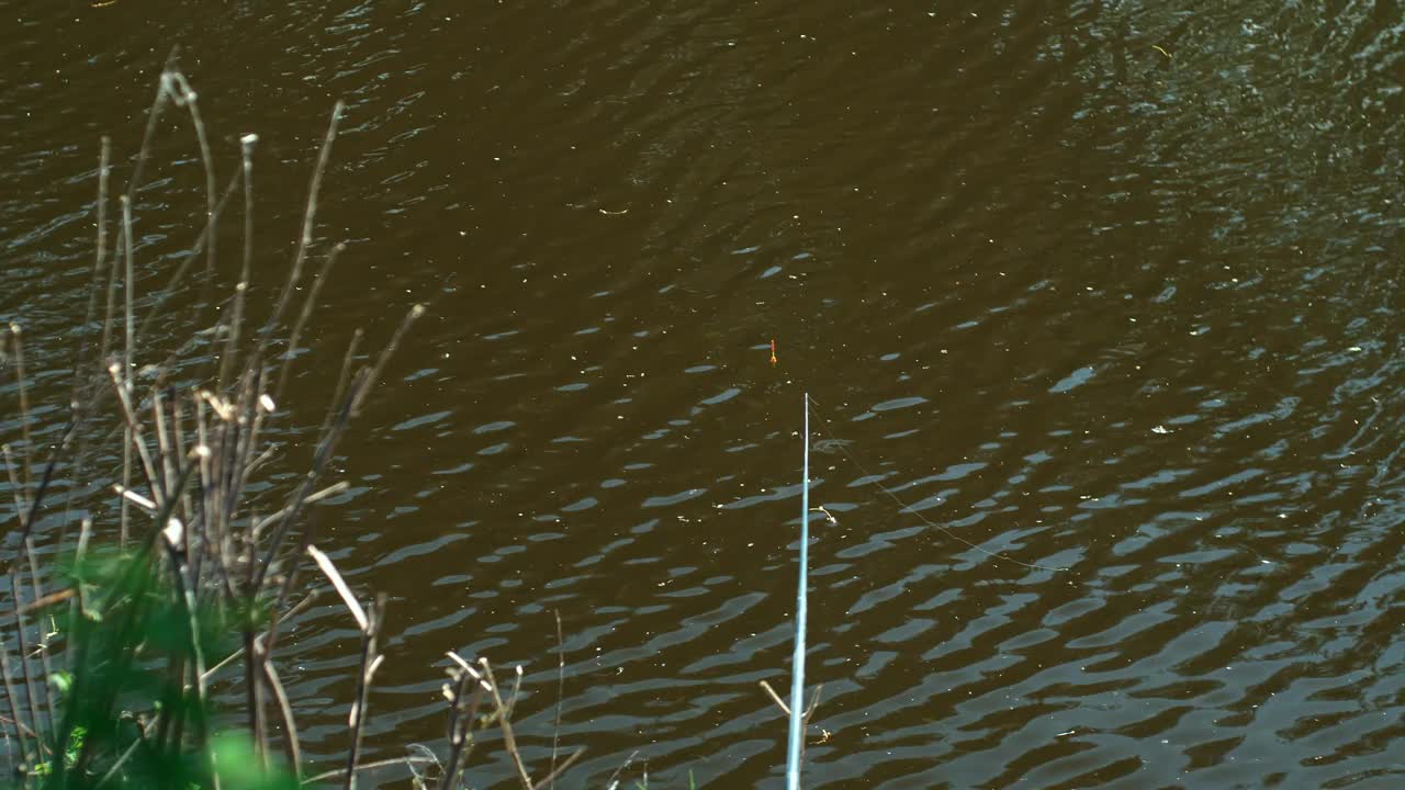 钓鱼浮在水面上，在小波浪上摇摆。视频下载