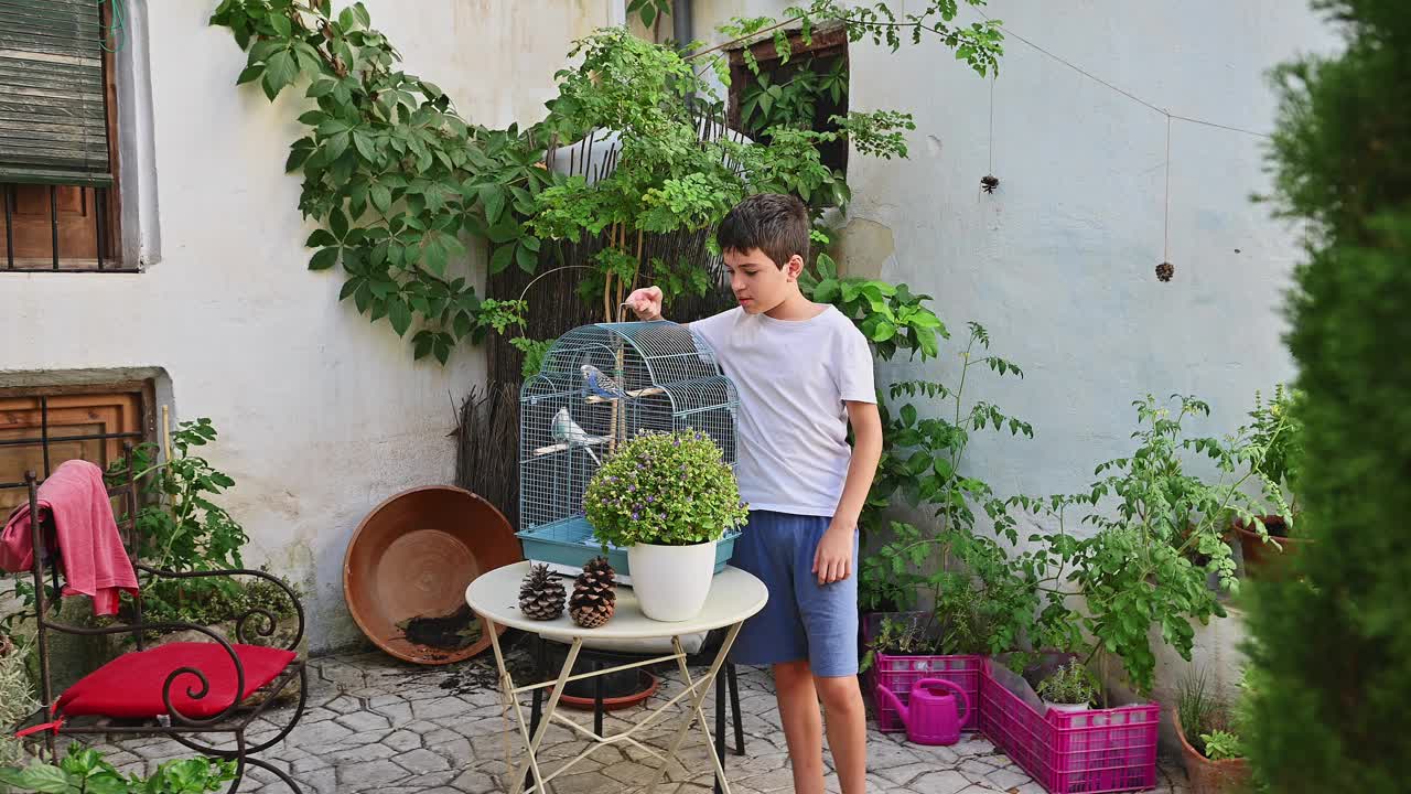 孩子们在一个舒适的花园环境中照顾宠物鸟，这里有郁郁葱葱的植物和户外家具，展示了在宁静的家庭环境中养育动物的乐趣视频素材