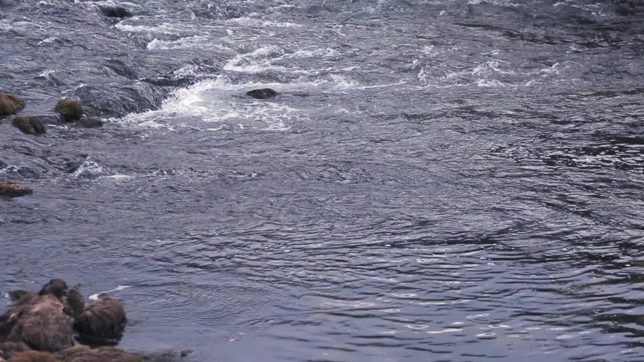 阴天河水湍急视频下载