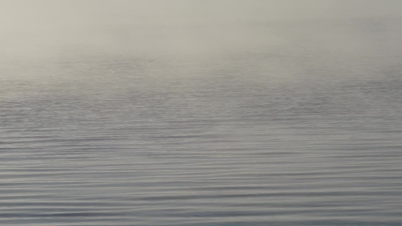 湖面上的雾的特写视频下载