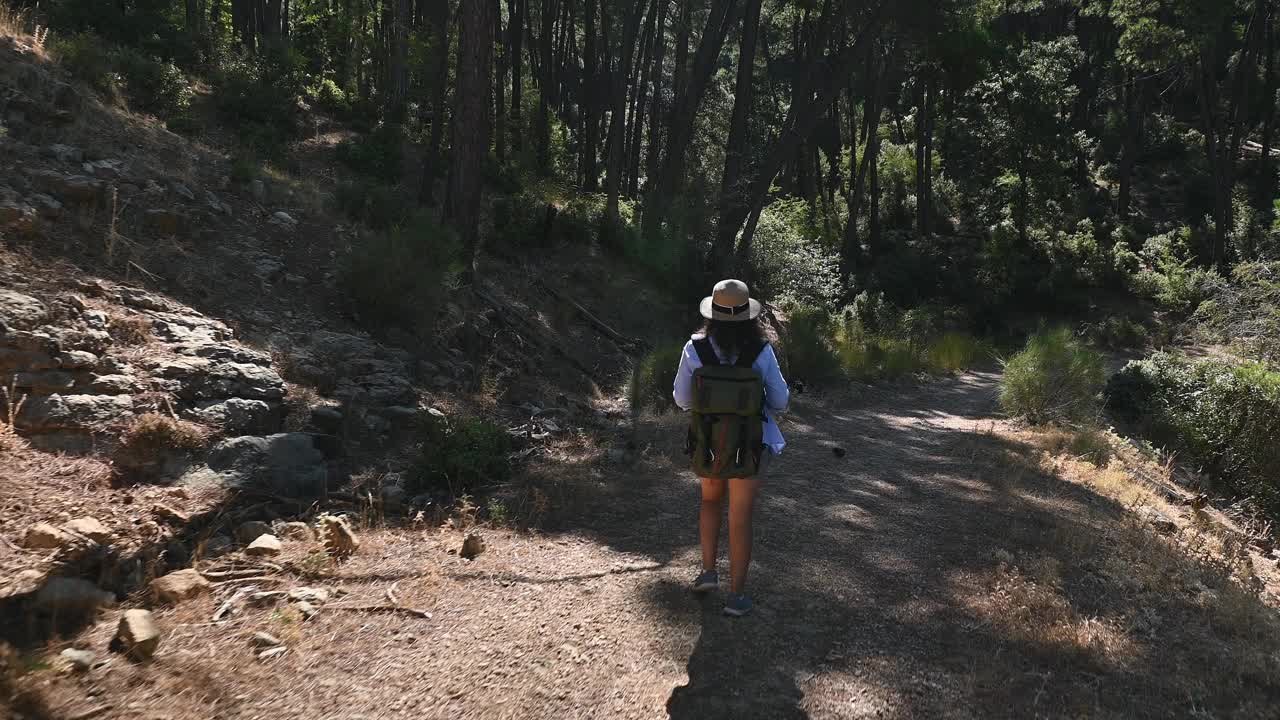 在森林小径上徒步旅行的女人，戴着夏天的帽子，背着背包，在宁静、阴凉的林地环境中探索大自然，在阳光明媚的日子里，在荒野中拥抱宁静和冒险视频素材