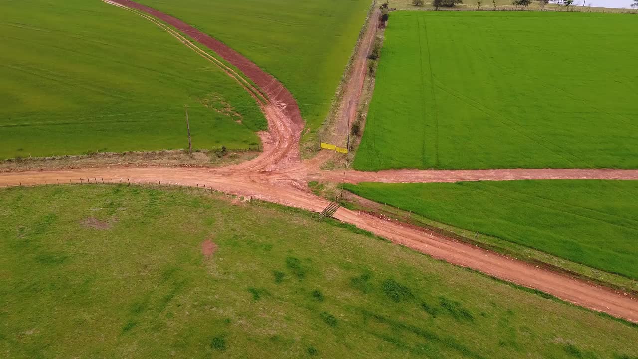 穿过土路，要选择一条路视频素材