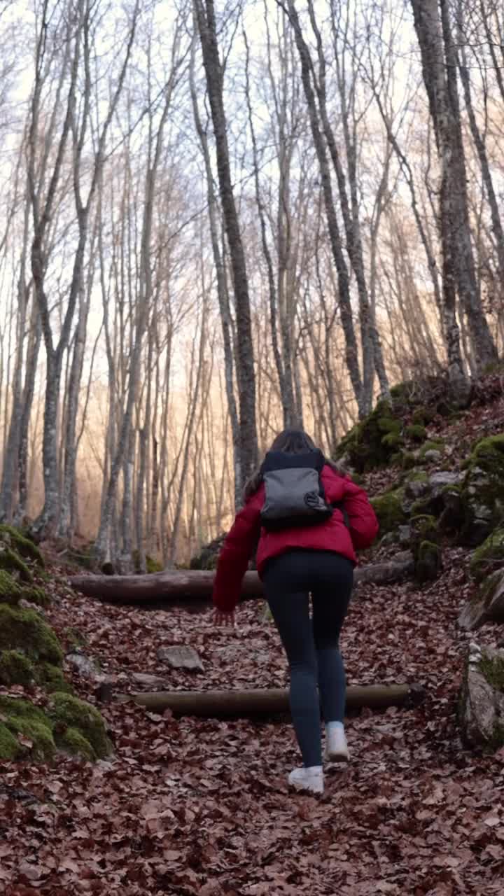 在森林小径上艰难徒步的妇女的垂直后视图。成功与克服概念视频下载