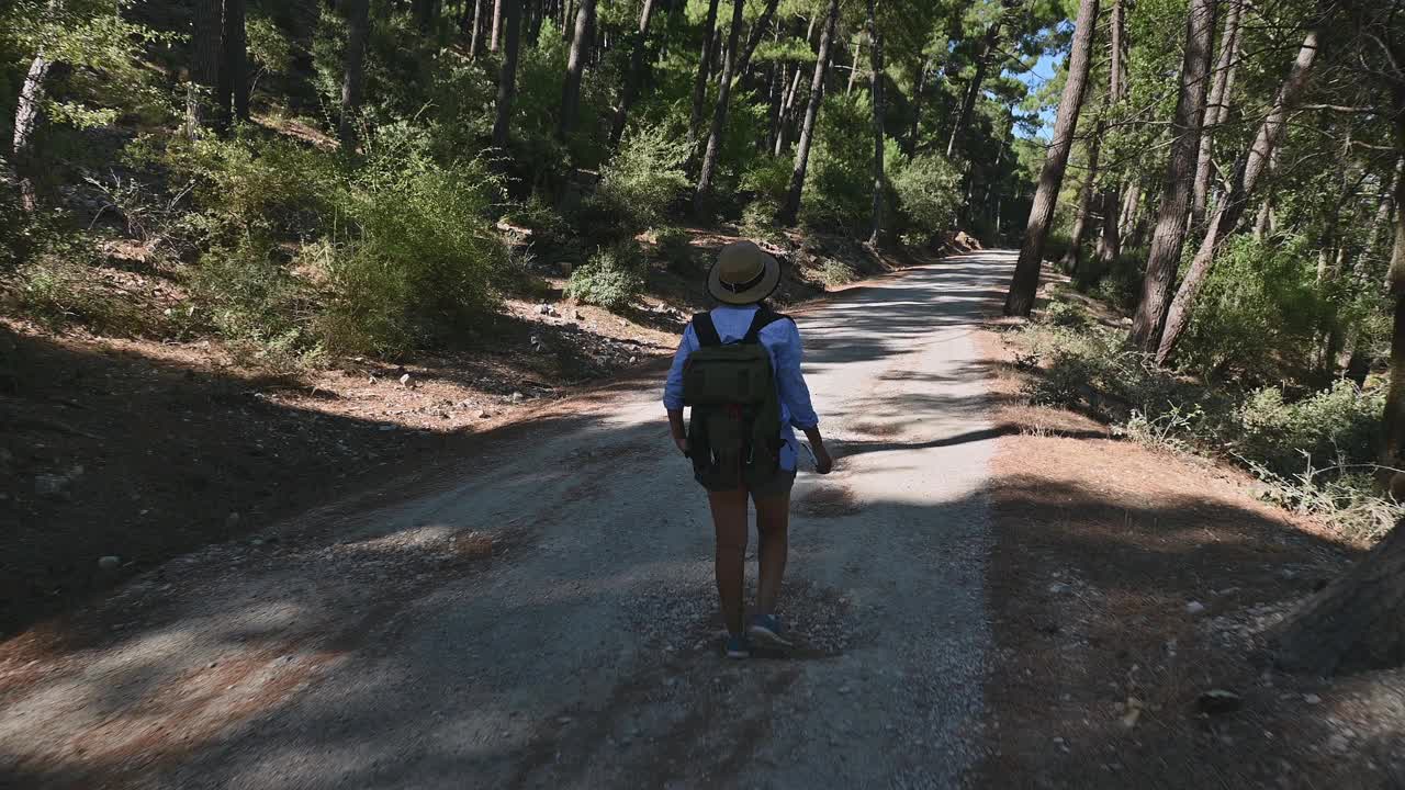 在森林小径上徒步旅行的女人，在一个阳光明媚的日子里享受大自然和冒险，拥抱宁静和自由。视频素材