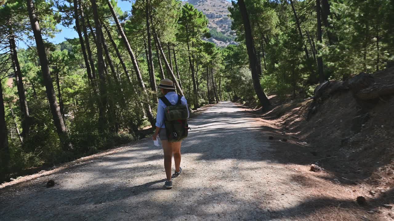 在阳光明媚的森林小径上徒步旅行的妇女戴着帽子和背包进行户外冒险和自然探索视频素材