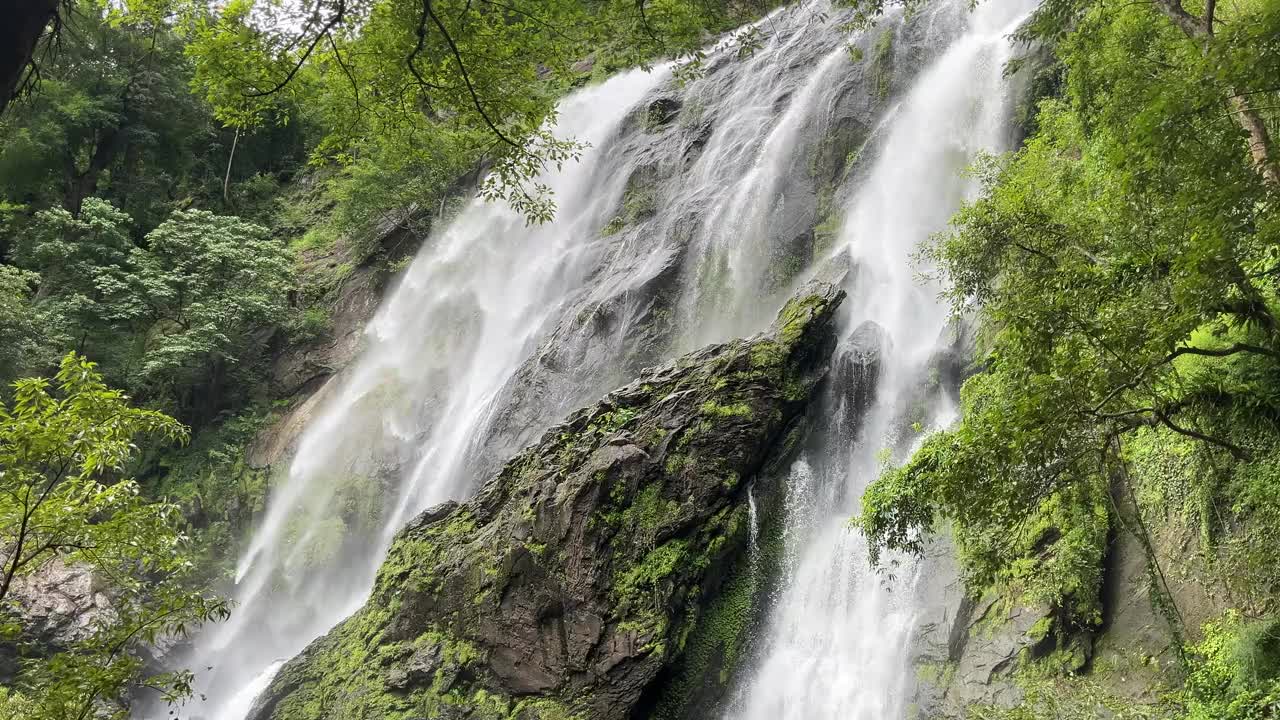 夏天的瀑布视频下载