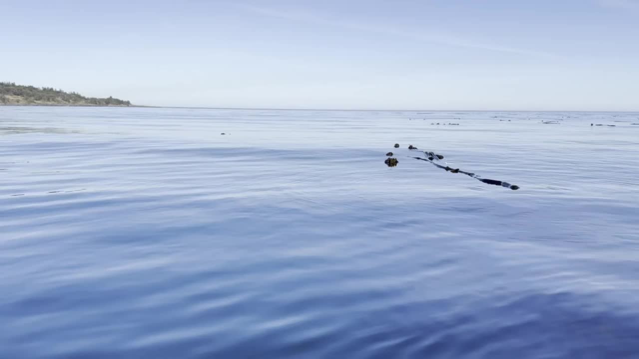 平静的海面视频下载