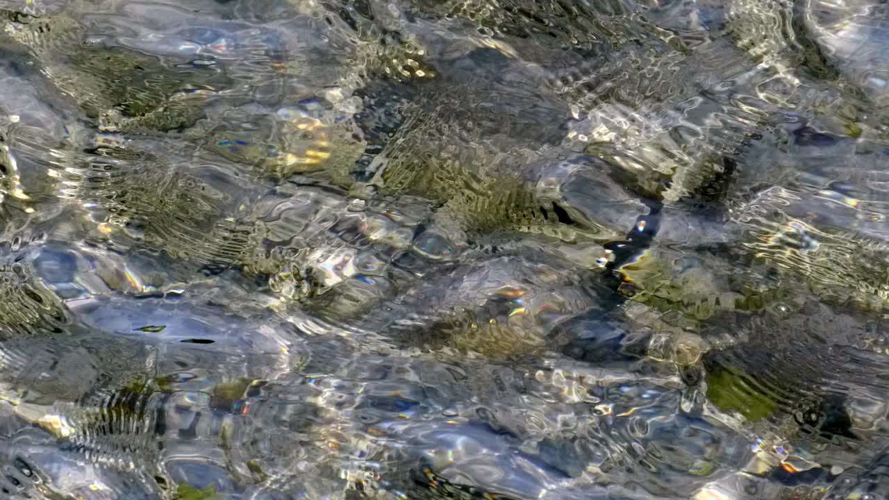 水面被温和的水流搅动，形成波纹和圆形波浪。涟漪和倒影在水面上翩翩起舞。视频下载