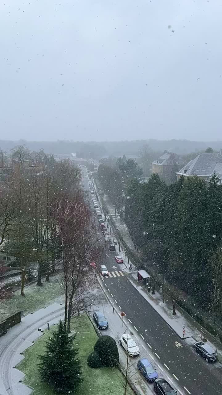 比利时布鲁塞尔郊区的雪景，从高处拍下大片雪花。垂直视频视频下载