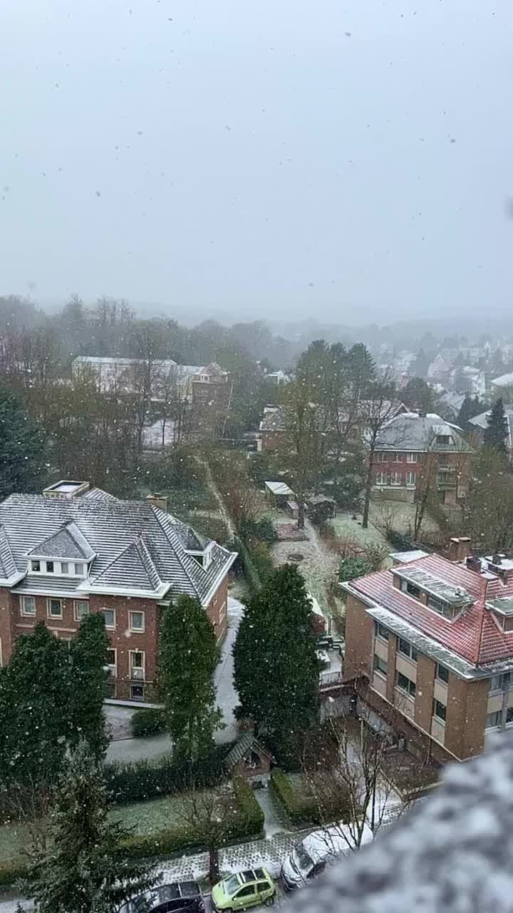 比利时布鲁塞尔郊区的雪景，从高处拍下大片雪花。垂直视频视频下载