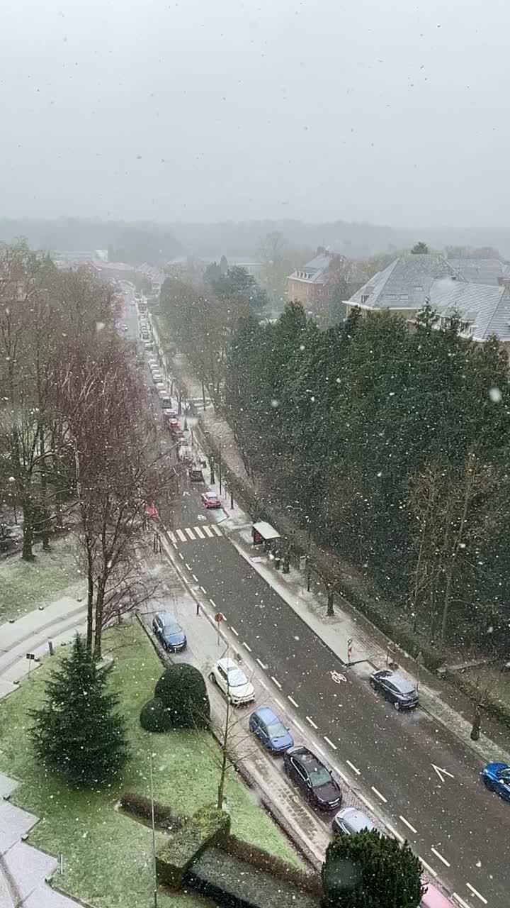 比利时布鲁塞尔郊区的雪景，从高处拍下大片雪花。垂直视频视频素材