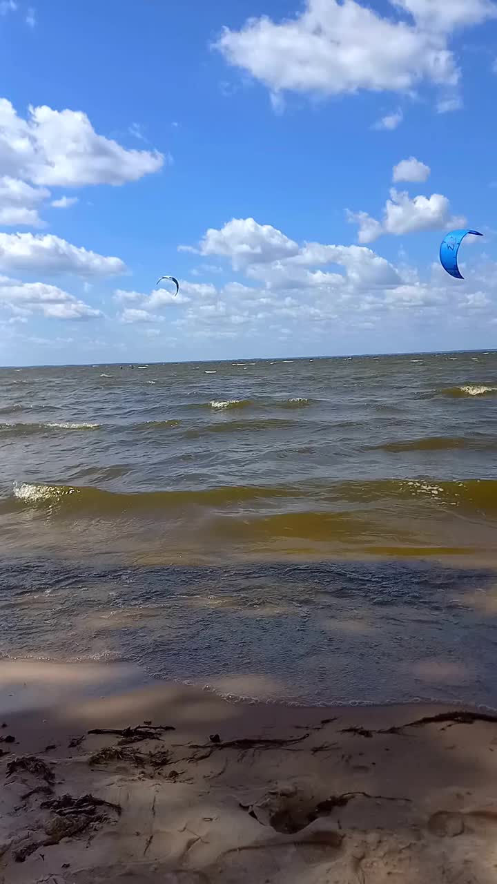 专业的冲浪者风筝冲浪夏天在基辅水库，乌克兰。运动员表演跳跃，飞过水面。极限水上运动。水上风筝板训练。风筝冲浪的肾上腺素。视频下载