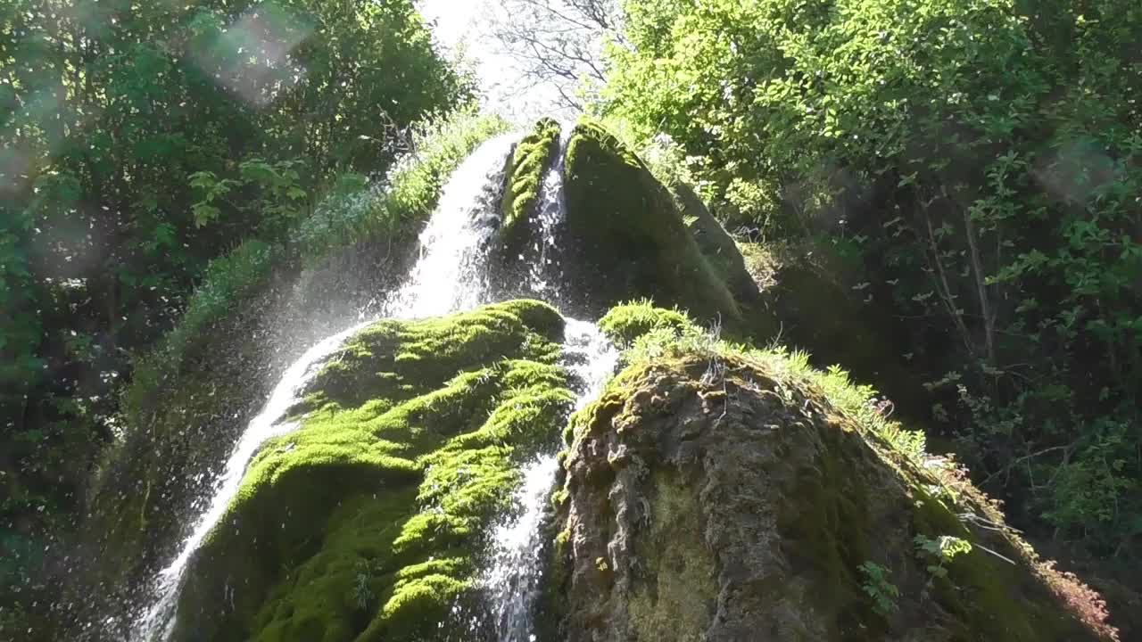 苔藓瀑布视频下载