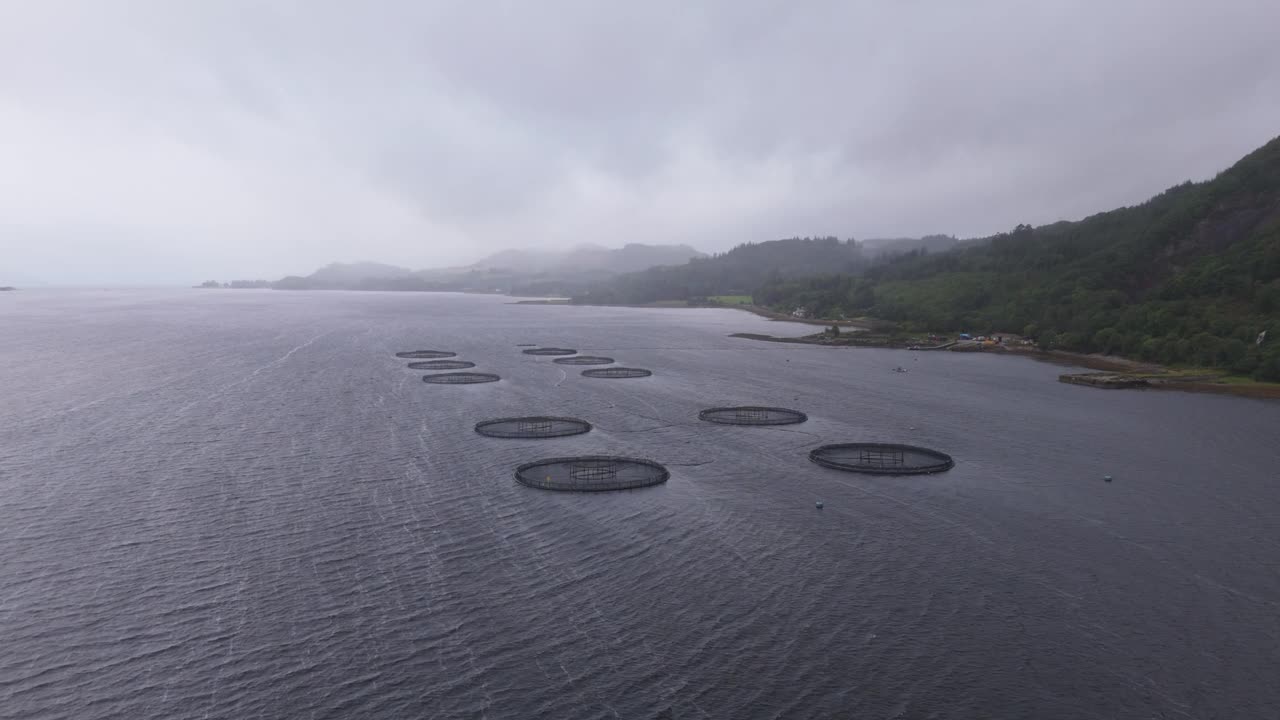 鸟瞰苏格兰一个大湖上的养鱼场。海鲜生意。农业与环境理念视频素材