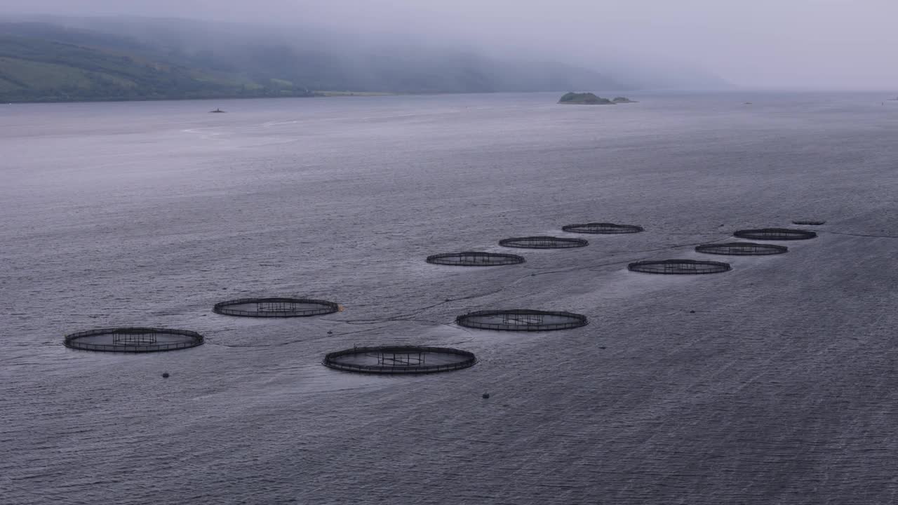 鸟瞰苏格兰一个大湖上的养鱼场。海鲜生意。农业与环境理念视频素材