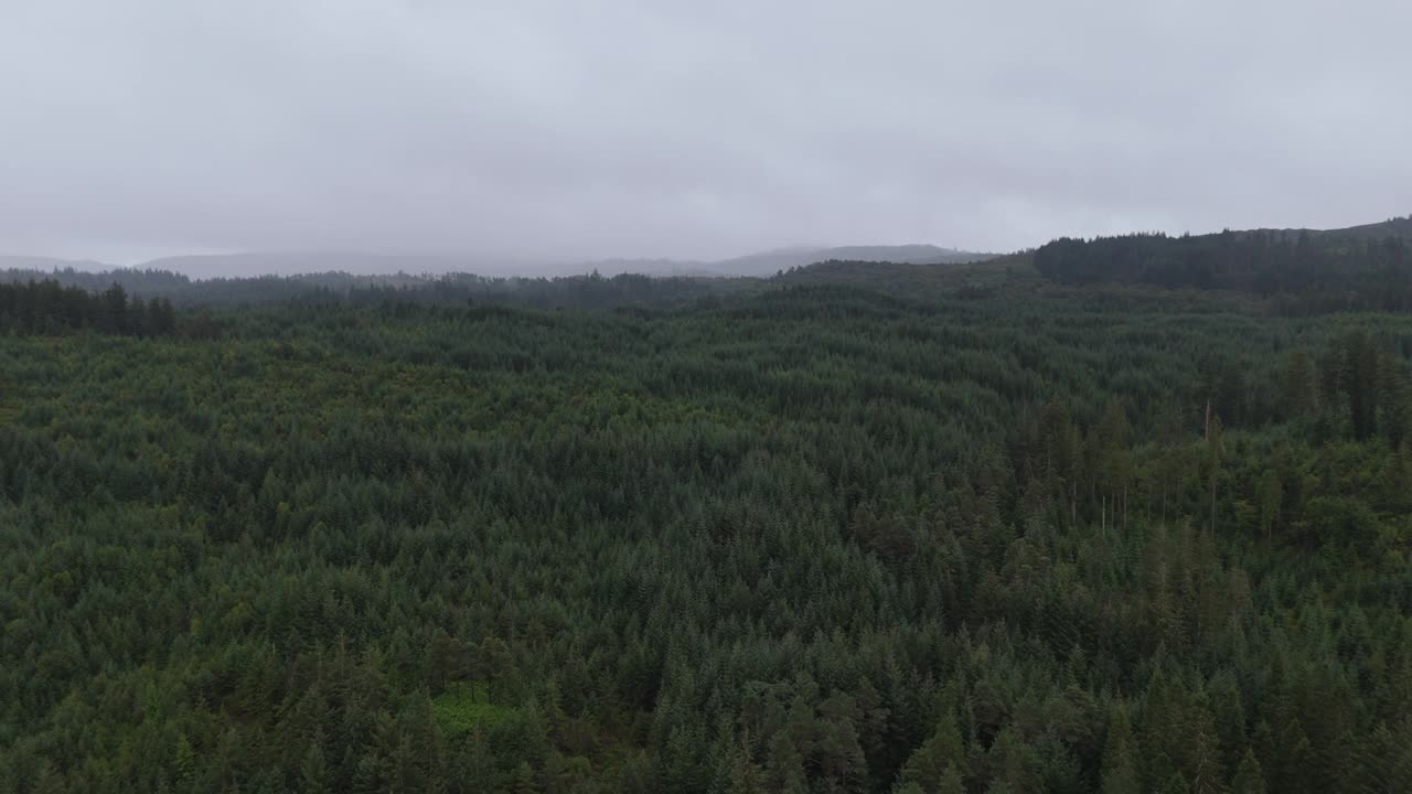 雨天低云的苏格兰大森林鸟瞰图视频下载