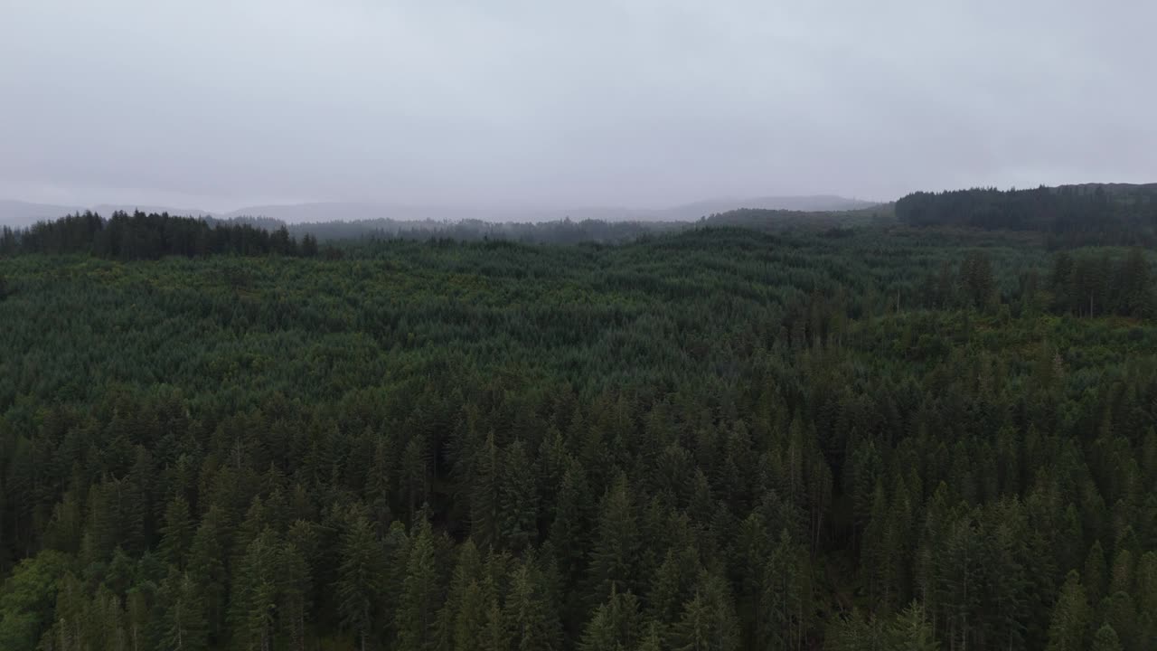 雨天低云的苏格兰大森林鸟瞰图视频素材