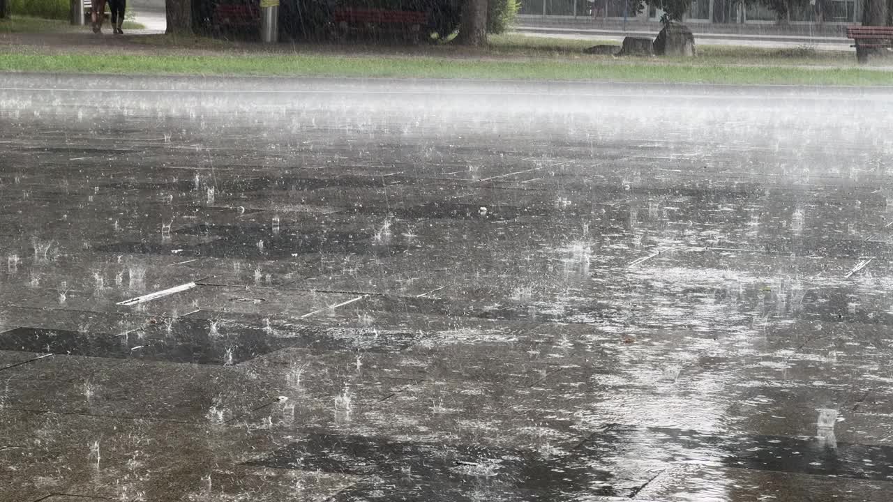 城市里的雨视频下载