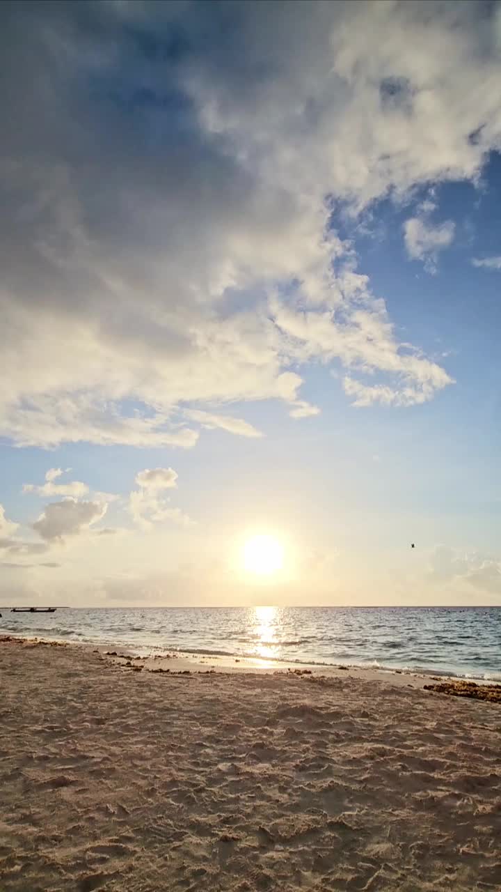 日出时沿着海岸线散步的人。视频下载