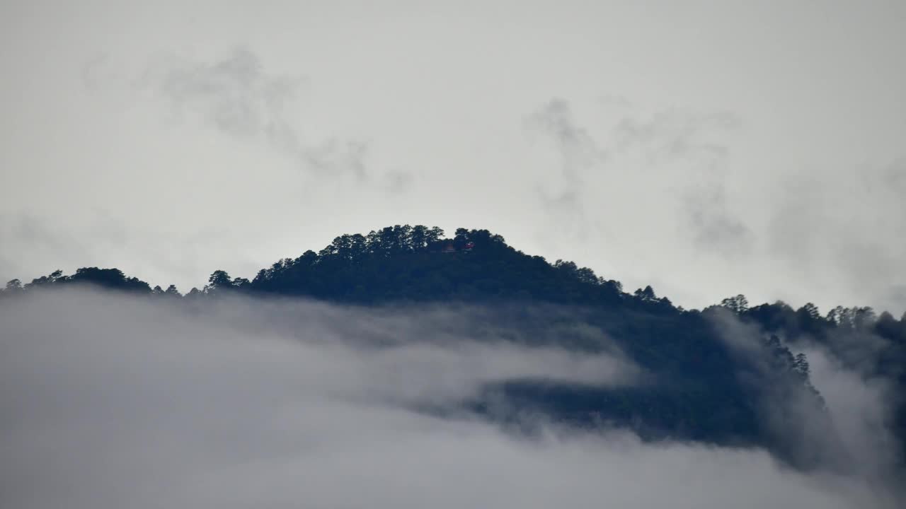 山雾在早晨变得更浓了。视频下载