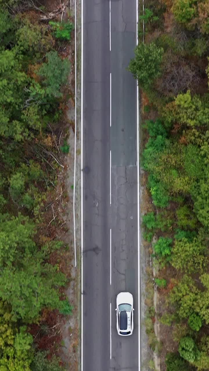 从空中俯瞰的白色汽车行驶在道路上的森林视频下载