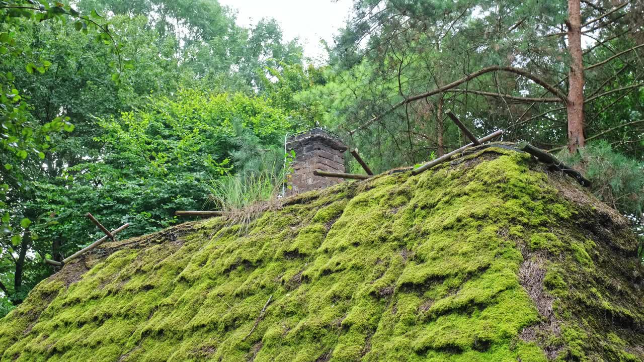 传统的波兰历史悠久的东欧乡村木屋，茅草屋顶由覆盖着青苔的干干草制成视频下载