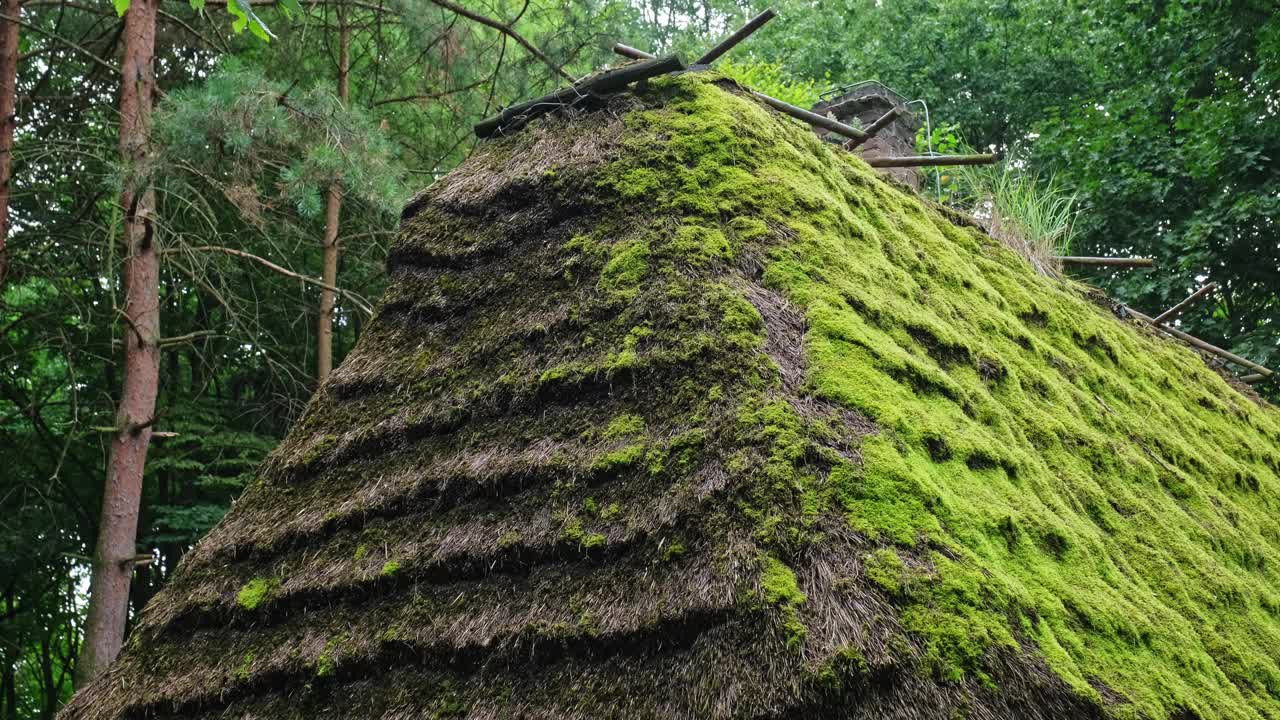 传统的波兰历史悠久的东欧乡村木屋，茅草屋顶由覆盖着青苔的干干草制成视频下载