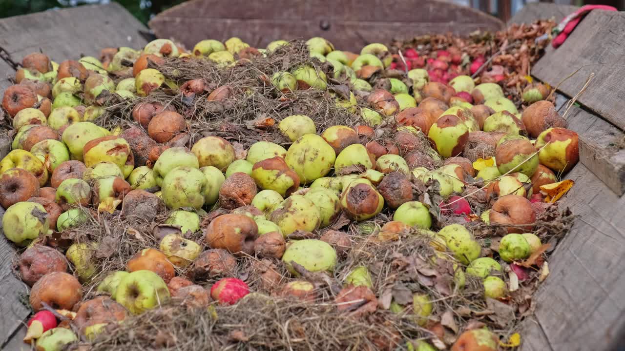 过熟和腐烂的苹果存放在木车上视频下载