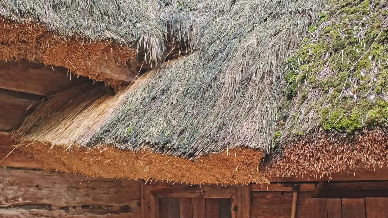 传统的波兰历史悠久的东欧乡村木屋，茅草屋顶由覆盖着青苔的干干草制成视频下载