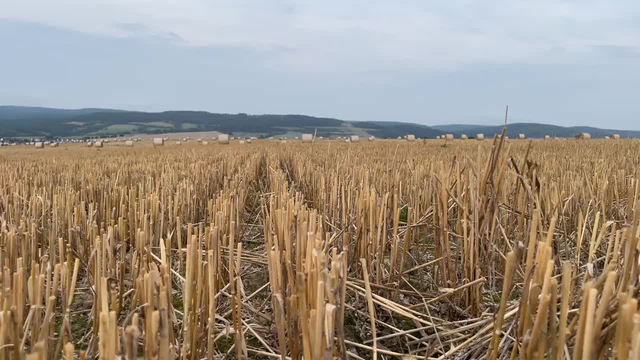 美丽的景色起伏的德国乡村与风力涡轮机的背景视频下载