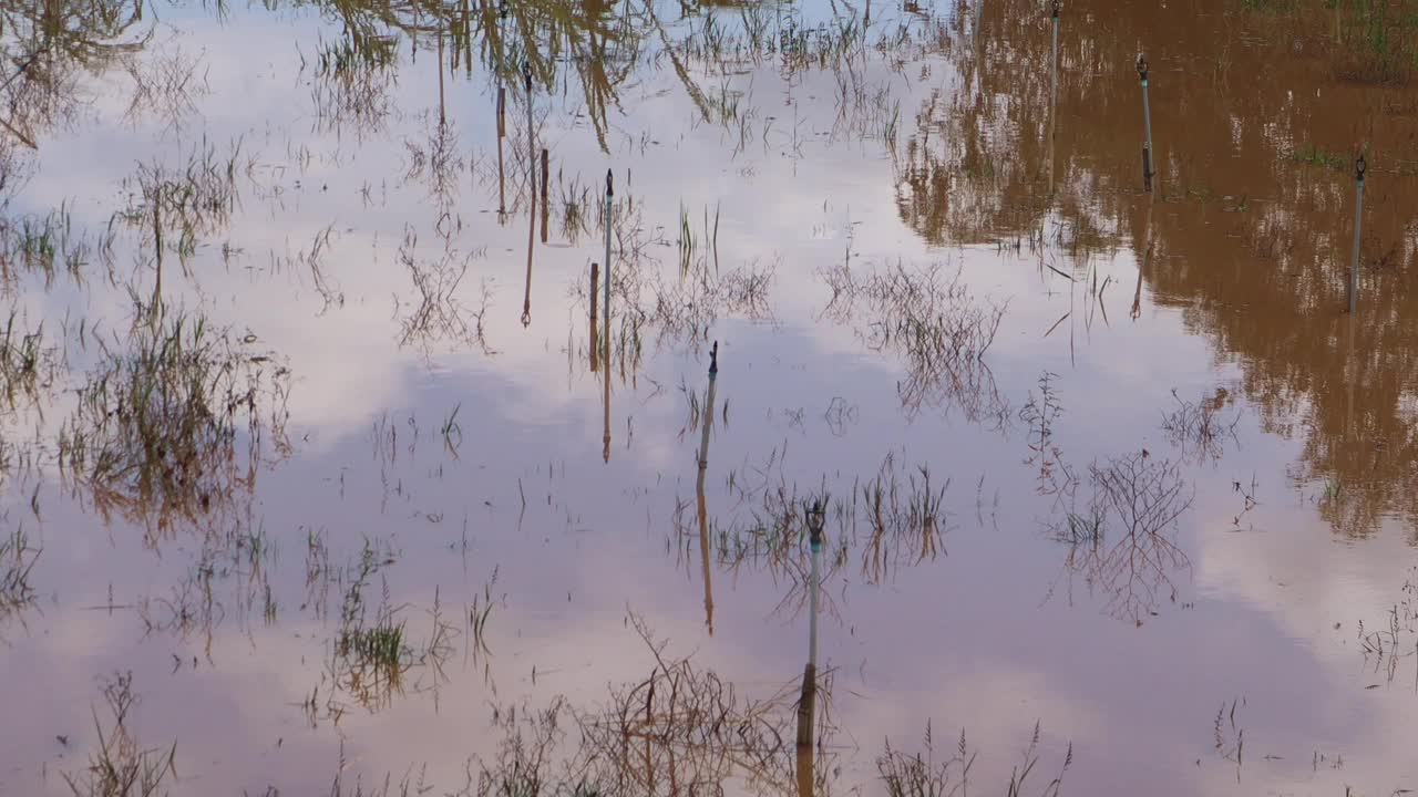 淹没村民地区、房屋和农田的水灾。暴雨整夜从高原上倾泻而下的泥色洪水。视频素材