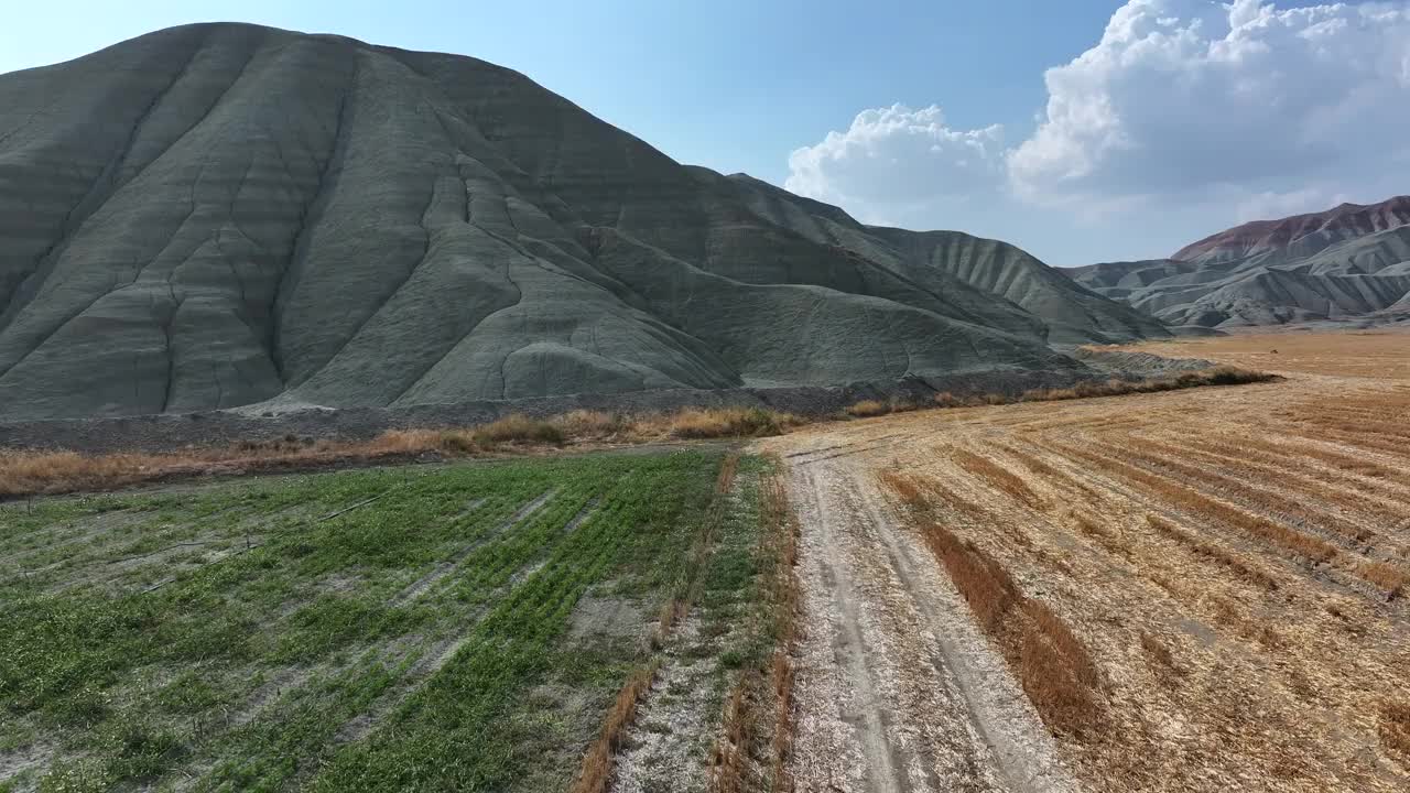 Nallihan鸟类保护区视频素材