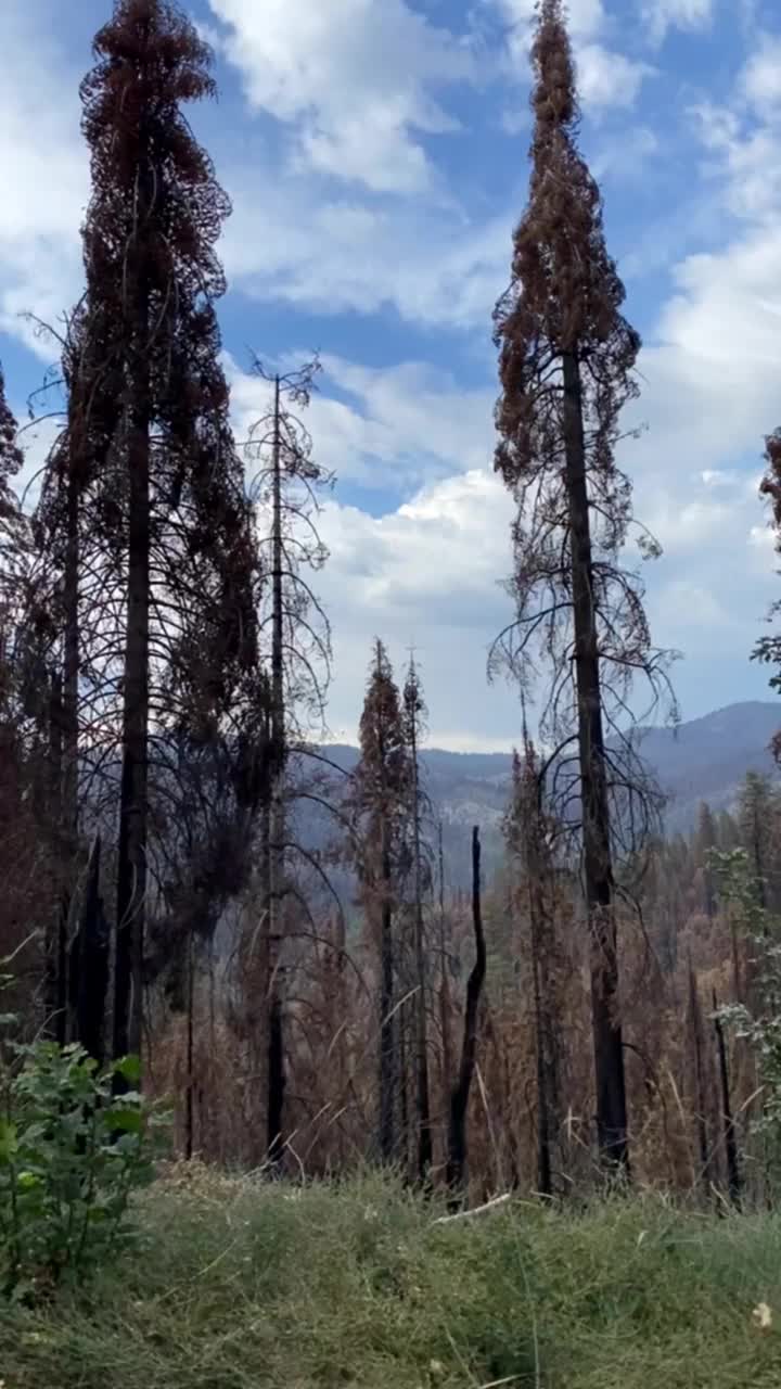 在加州壮丽山脉的映衬下，优胜美地国家公园展现了其原始、无瑕的自然景观。视频下载