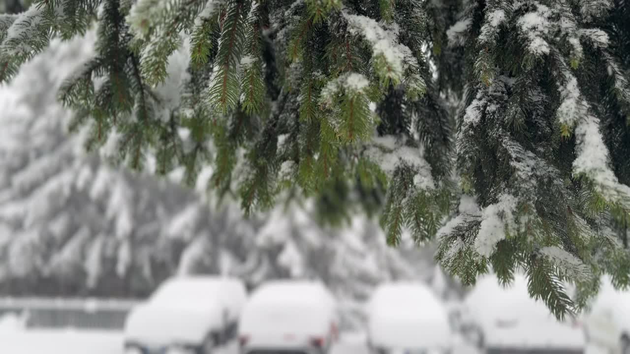 停车场里的汽车被厚厚的积雪覆盖着视频下载