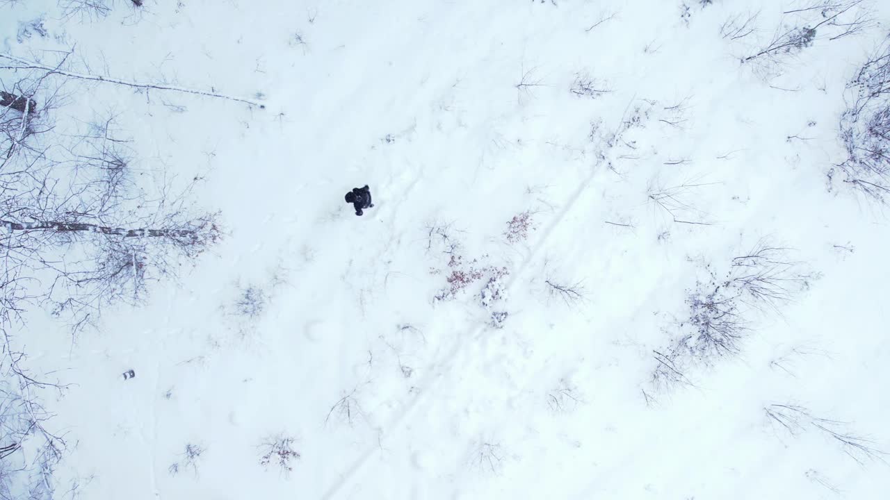 一个人走在冬天的森林里，俯视图。户外活动和生态旅游。自然冬季背景。鸟瞰松树云杉覆盖的雪视频下载