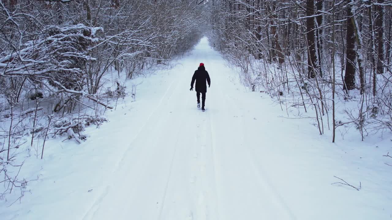 一个人戴着圣诞老人的帽子走在冬天的森林里。鸟瞰美丽的雪树。冬天雪地里的路。霜晨旅行概念背景。令人惊叹的冬季景象。圣诞节的主题。云杉覆盖视频下载