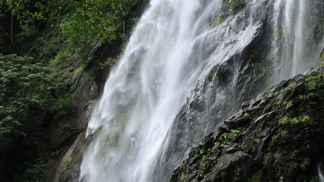 夏天的瀑布视频下载