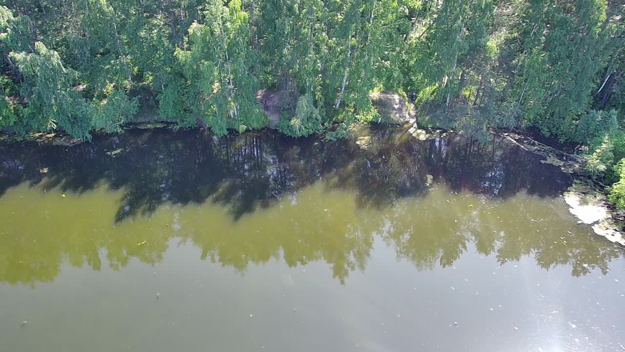 在一个晴朗的夏日，从高处降落到平静的湖面上，高高的河岸上生长着高大的桦树。视频下载