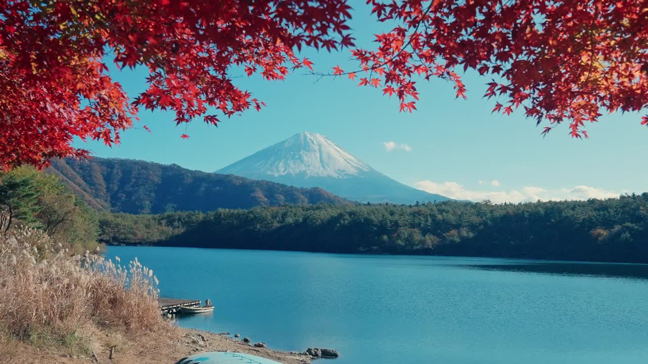 秋日富士山的西湖景。日本山梨县藤川口的富士山。地标，吸引游客。日本旅游，目的地，度假和富士山日的概念视频素材