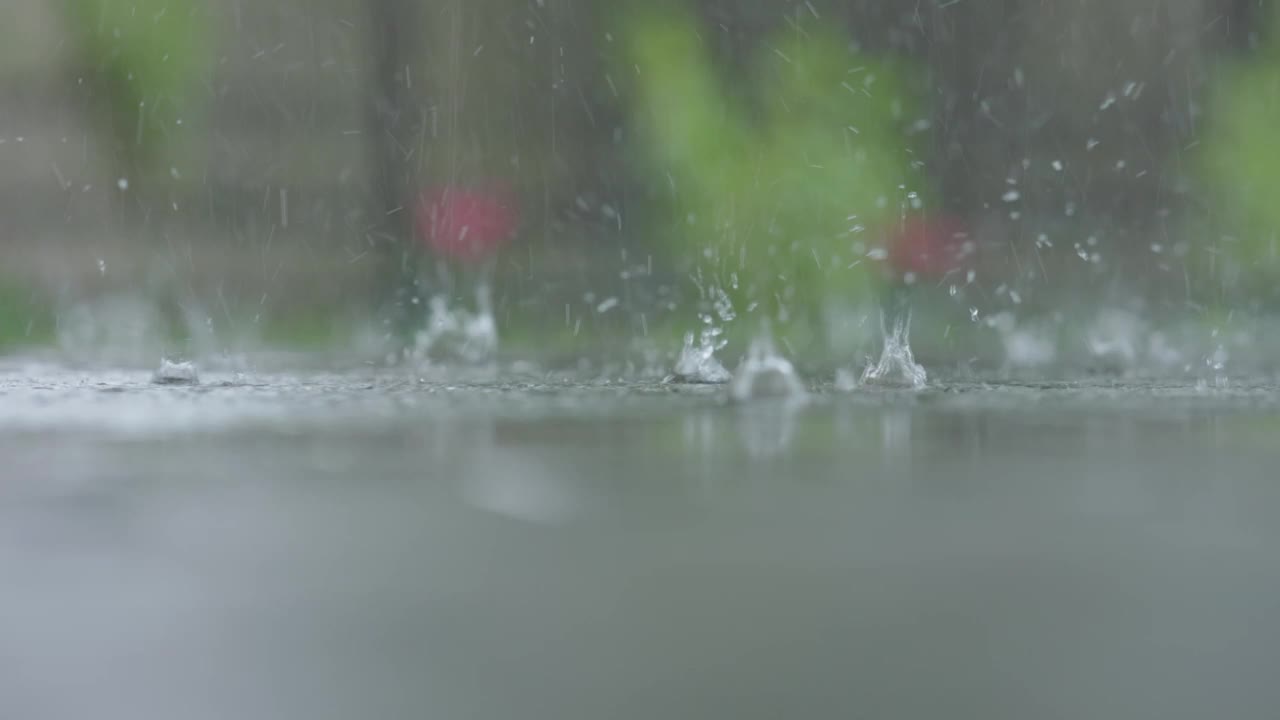 夏天的雨滴落在水坑里，走在人行道上，城市铺设的道路，绿色的草地视频下载