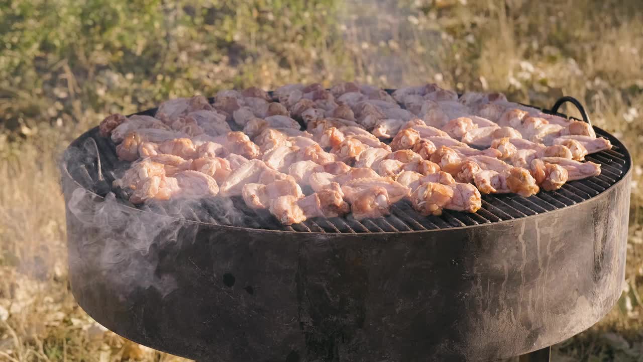 美味的、滋滋作响的腌鸡块正在户外烧烤，周围都是大自然的美景视频下载