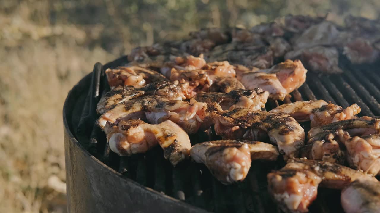 多汁的鸡肉块在炭火上烧烤，是与朋友和家人户外聚会的完美选择视频下载